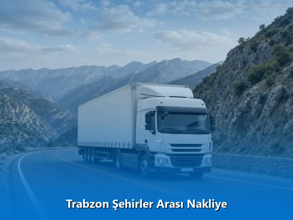 Trabzon Şehirler Arası Nakliye