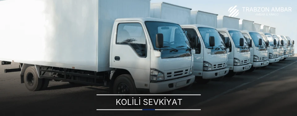 Trabzon Kolili Sevkiyat Ambar Firmaları