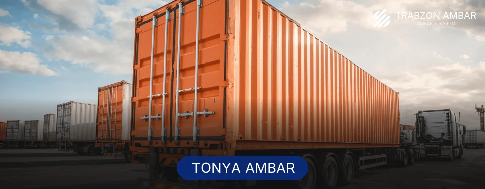 Tonya Ambar